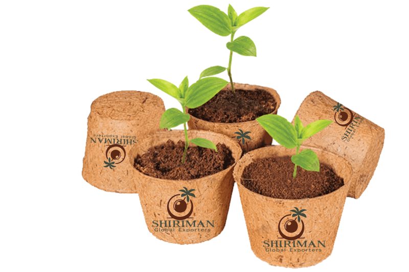 Coir Pot