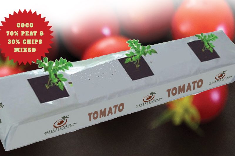Tomato